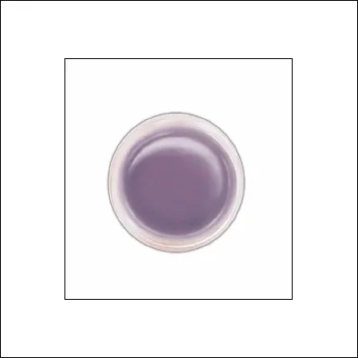 Ranger Perfect Pearls Pigment Powder Forever Violet