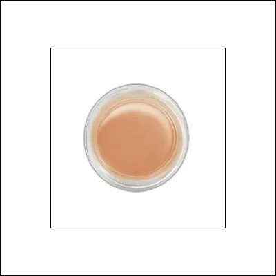 Ranger Perfect Pearls Pigment Powder Perfect Bronze