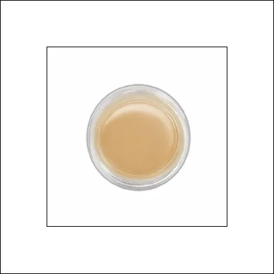 Ranger Perfect Pearls Pigment Powder Perfect Gold