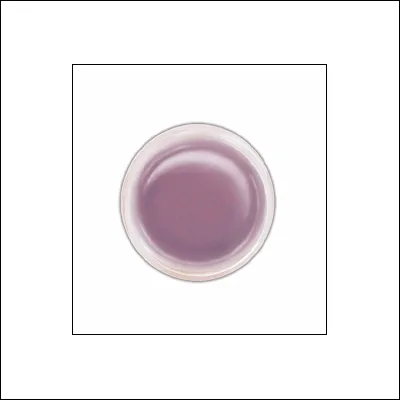 Ranger Perfect Pearls Pigment Powder Plum