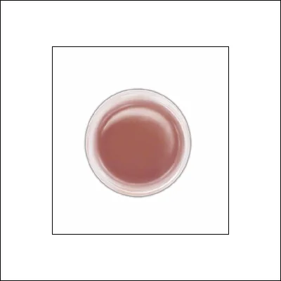 Ranger Perfect Pearls Pigment Powder Rust