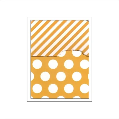 Simple Stories Memorabilia Pocket 3x4 Orange Snap Collection