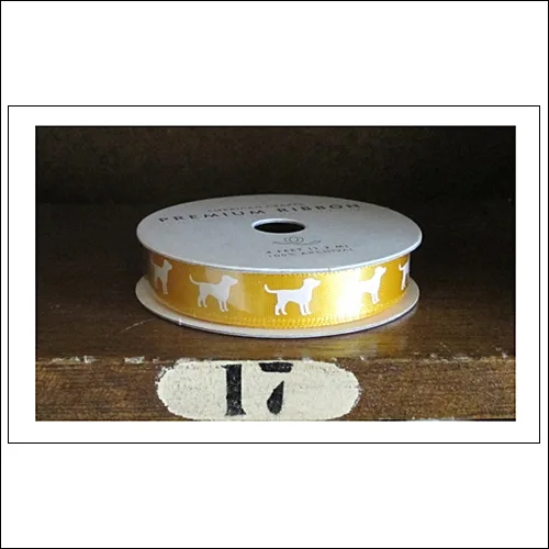American Crafts Premium Ribbon Spool Yes Please Collection by Amy Tangerine