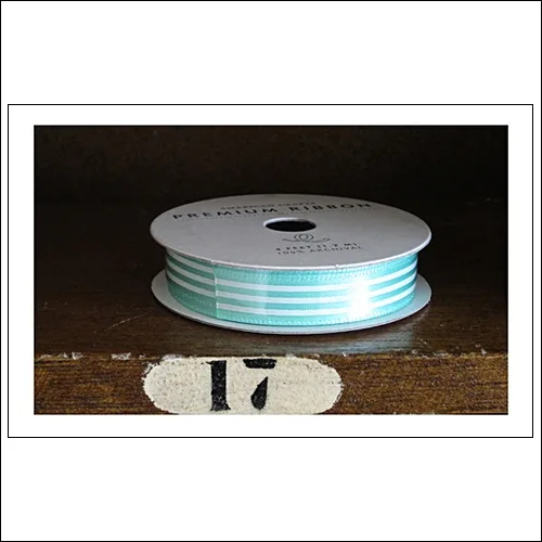 American Crafts Premium Ribbon Spool Yes Please Collection by Amy Tangerine