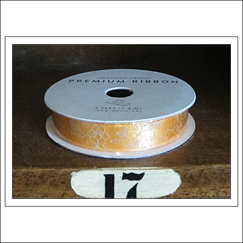 American Crafts Premium Ribbon Spool Ready Set Go Collection by Amy Tangerine