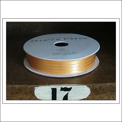 American Crafts Premium Ribbon Spool Ready Set Go Collection by Amy Tangerine