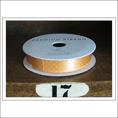 American Crafts Premium Ribbon Spool Ready Set Go Collection by Amy Tangerine