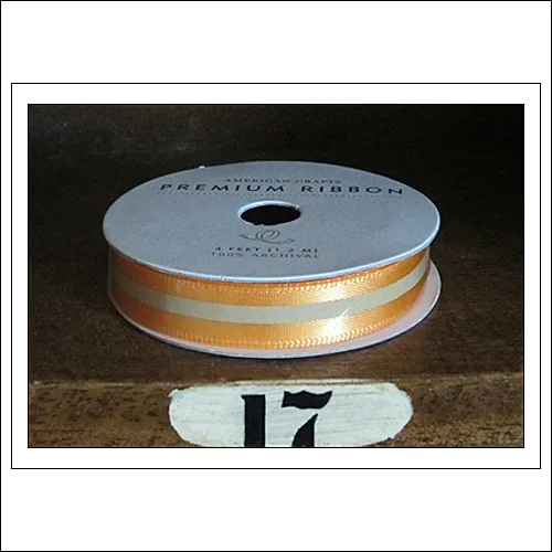American Crafts Premium Ribbon Spool Ready Set Go Collection by Amy Tangerine