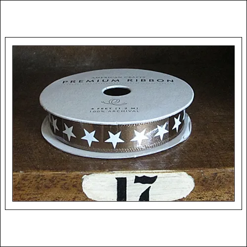American Crafts Premium Ribbon Spool Ready Set Go Collection by Amy Tangerine