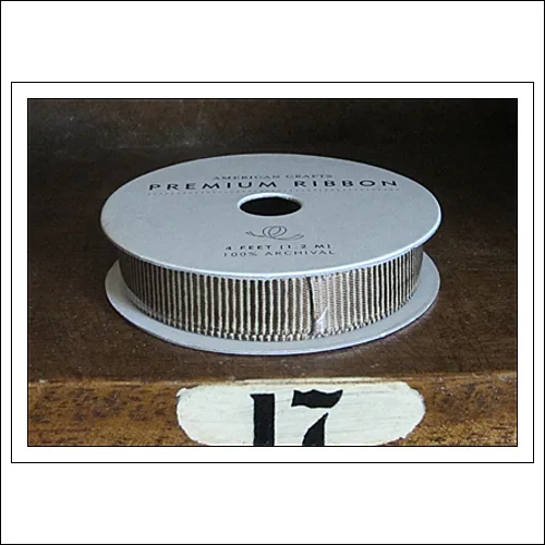 American Crafts Premium Ribbon Spool Ready Set Go Collection by Amy Tangerine