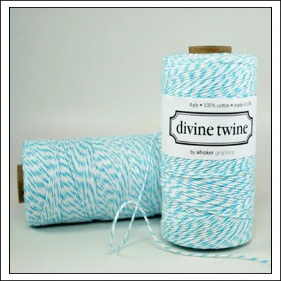 Whisker Graphics Divine Twine Aqua