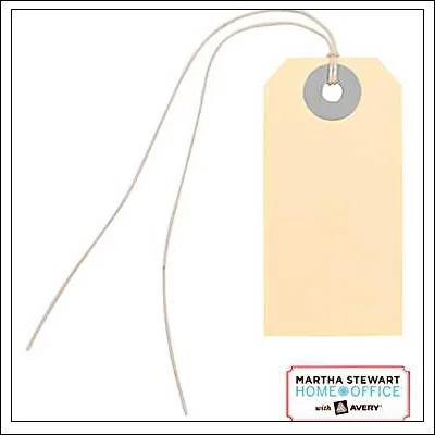Martha Stewart Home Office Mini Manila Tags