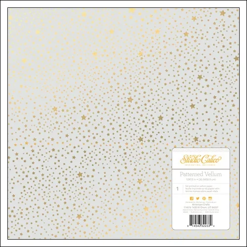 Studio Calico Vellum Paper Foil Gold Stars Brighton Pier Collection
