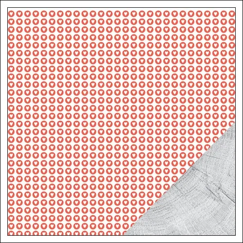 American Crafts Paper Sheet Dobby Stitched Collection by Amy Tangerine