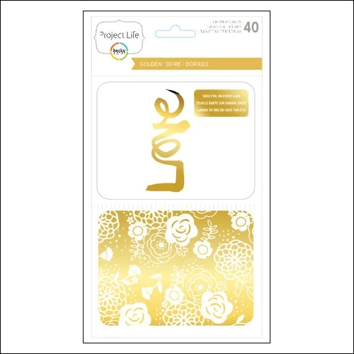 American Crafts Project Life Themed Cards Golden by Becky Higgins