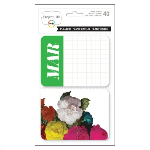 American Crafts Project Life Themed Cards Planner by Becky Higgins