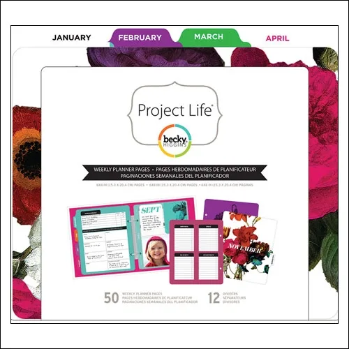 American Crafts Project Life Filler Pack Weekly by Becky Higgins