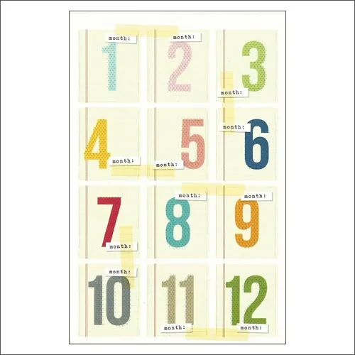 Simple Stories Label Sticker Sheet Snap Life Documented Collection