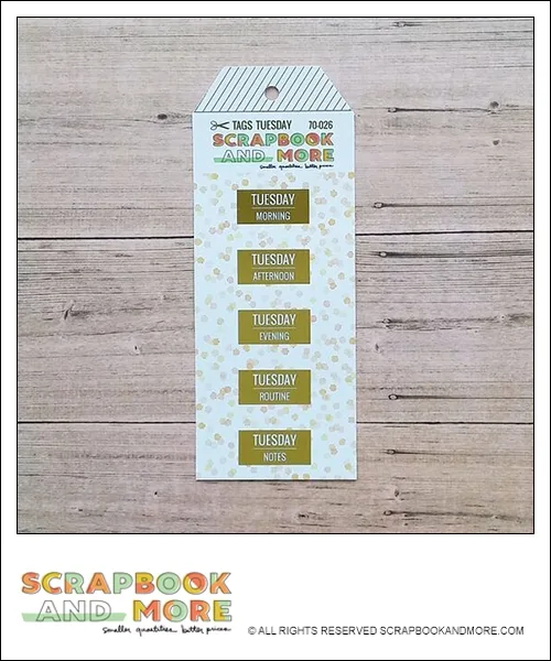 Scrapbook and More Exclusive Cardstock Cut Tags Tuesday Confetti Gold Foil