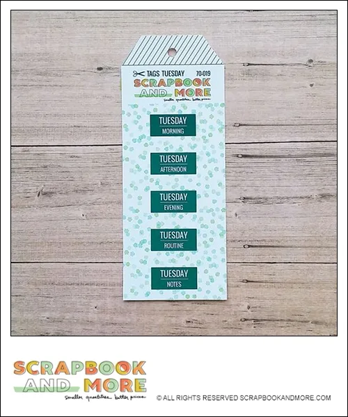 Scrapbook and More Exclusive Cardstock Cut Tags Tuesday Confetti Teal Foil