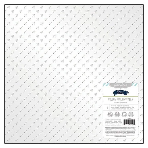 Pink Paislee Specialty Paper Sheet Vellum Silver Foil Captain Atlas Collection