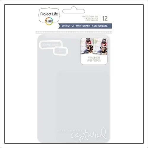 American Crafts Project Life Photo Overlays Currently Edition Collection by Peppermint Granberg Jones