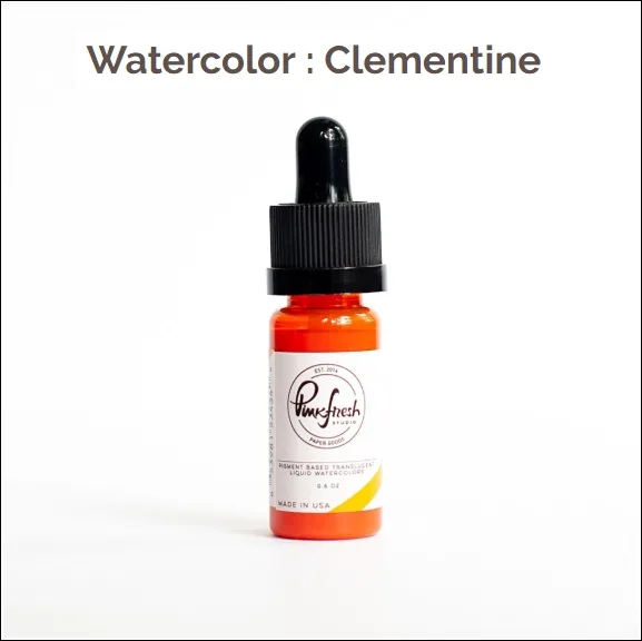 Pinkfresh Studio Watercolor Clementine